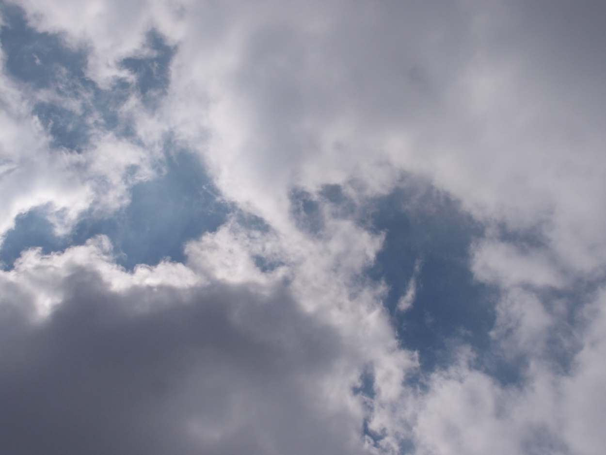 2018-01-16 12 Uhr - Im Shivapuri Nagarjun National Park (Nagi Gumba) (Foto) 